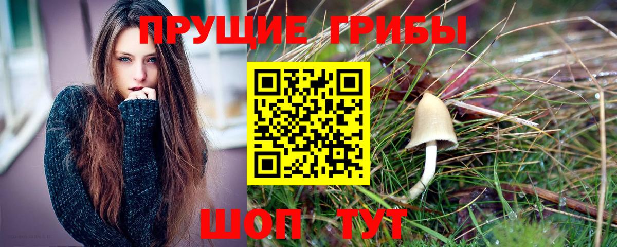 Миасс  Галлюциногенные грибы Psilocybine cubensis  Вход с VPN 