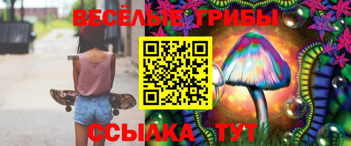 Галлюциногенные грибы Psilocybe Миасс